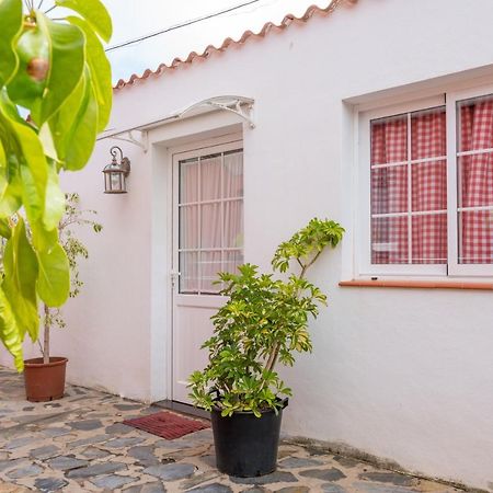 Casa Unifamiliar Villa Tejina Kültér fotó
